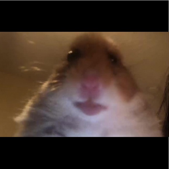 Meet your Posher, Colin - Picture 1 of 1